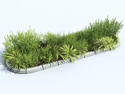 Lush Green Shrubs With Various Leaf Shapes Planted In Stone Border 3d model