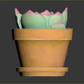 Succulent Plant with Green and Pink Leaves in Orange Pot with Saucer on Dark Surface