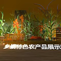 Rural Specialty Agricultural Products Exhibition Area Photo Check-in Spot with Corn Plants and Wooden Benches