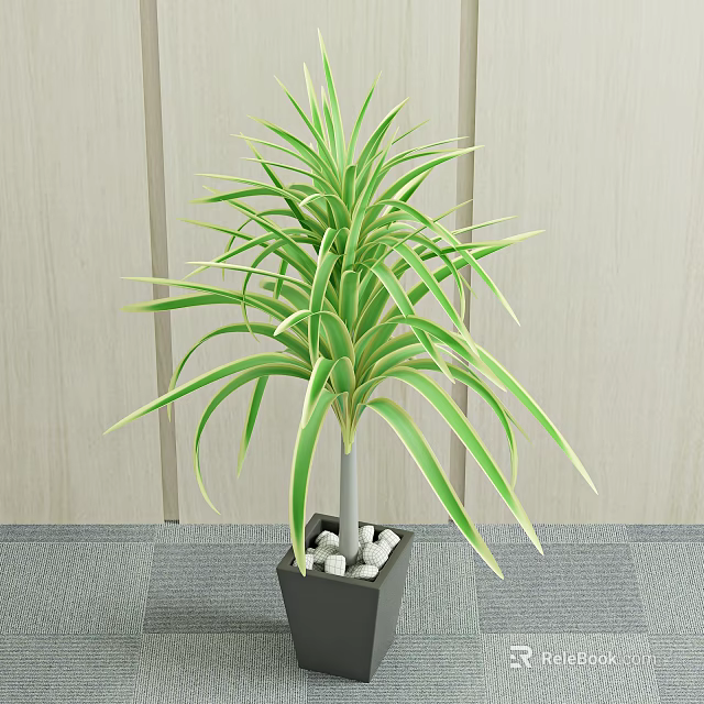 Green Bonsai Potted Plant With Slender Leaves Square Pot Small Stones Wooden Wall Gray Floor 3d model 