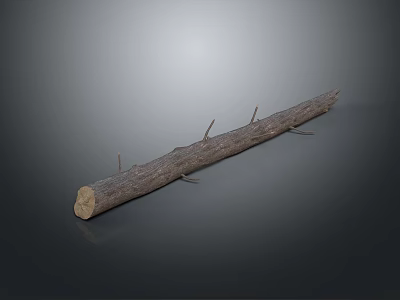 Natural Wooden Log With Rough Surface And Small Branches For Decorative Home Use 3d model