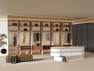 Modern Cloakroom Wardrobe 3d model