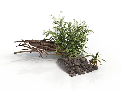 Lush Green Plants With Twigs And Stones In Natural Decorative Scene 3d model