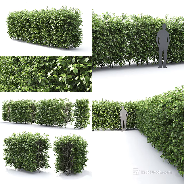 Lush Green Shrubs With Dense Foliage For Well Trimmed Garden Hedge Design 3d model 