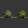 Two Vibrant Green And Yellow Frogs With Smooth Skin Sitting On Dark Background