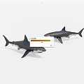 Two Lifelike Aquatic Animal Sharks Showcasing Realistic Features and Natural Swimming Postures