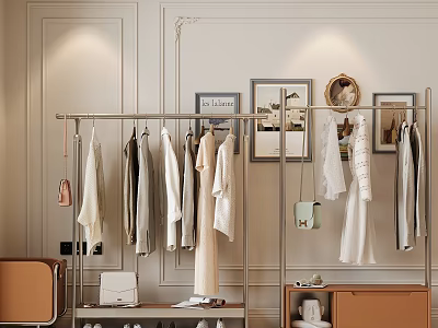 Modern Shoe Cabinet Design With Clothing Rack Hanging Clothes And Framed 3d model