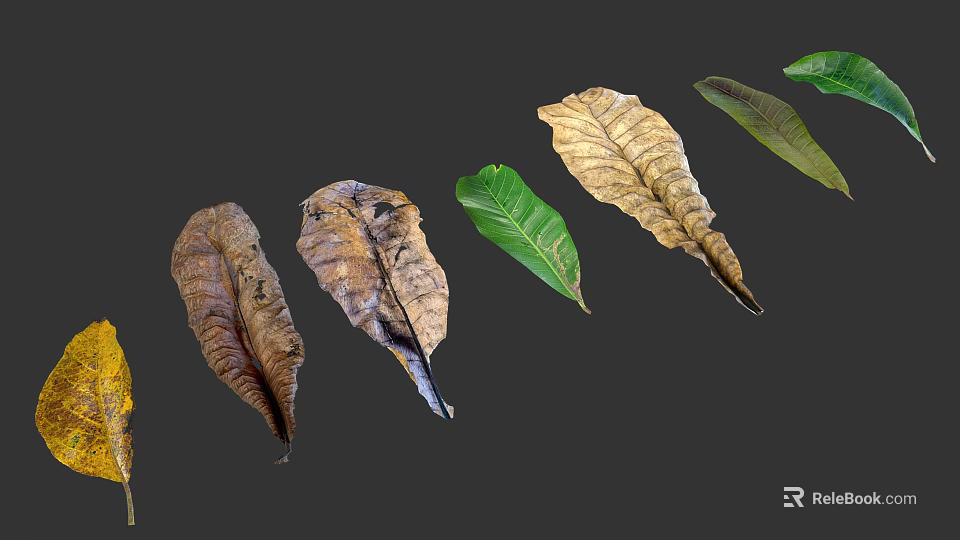 Green and Withered Plant Leaves Arranged on Gray Background with Natural Texture 3d model 