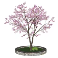 Beautiful Flowering Arbor With Pink Blossoms Green Grass And Stone Border