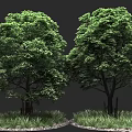 Two Lush Green Trees with Grass and Pebbles on Gray Background