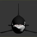 Black And White Orca Aquatic Marine Animal With Streamlined Body And Dorsal Fin