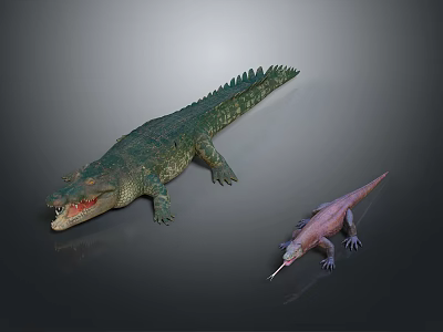 Green Crocodile with Open Mouth and Small Lizard with Long Tongue on Gray Background 3d model
