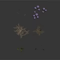 Various Decorative Plants Including Grasses And Purple Spherical Flowers On White Background