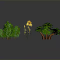 Various Green Plants And Yellow Flowers In Potted Decorative