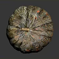 Vibrant Colorful Speckled Pumpkin With Textured Skin And Natural Stem