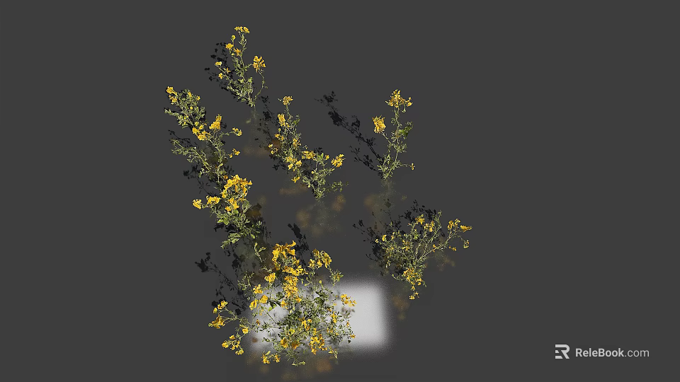 Blooming Yellow Flowers With Fresh Green Leaves In Natural Arrangement On Gray Background 3d model 