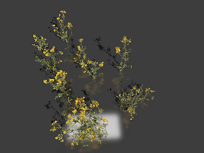 Blooming Yellow Flowers With Fresh Green Leaves In Natural Arrangement On Gray Background 3d model