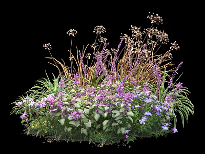 Vibrant Purple Flowers With White Blooms And Green Foliage In Diverse Garden Plants 3d model