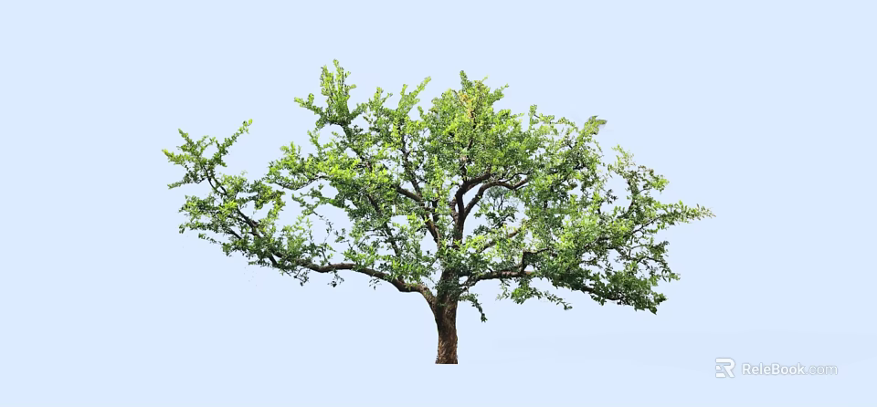 Lush Arbor With Green Leaves And Strong Branches Against Light Blue Sky 3d model 