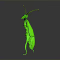 Green Alien Creature 3D Model with Multiple Antennas and Extended Limbs on Dark Background Reflection