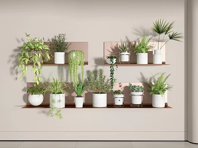 Stylish Indoor Hanging Basket Plants On Wall Shelves With White Pots And Greenery 3d model