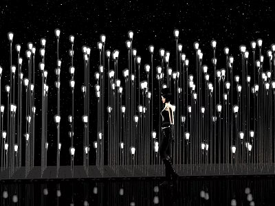 Numerous Decorative Outdoor Lights With Starry Sky And Reflections In Nighttime Scene 3d model