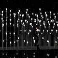 Numerous Decorative Outdoor Lights With Starry Sky And Reflections In Nighttime Scene