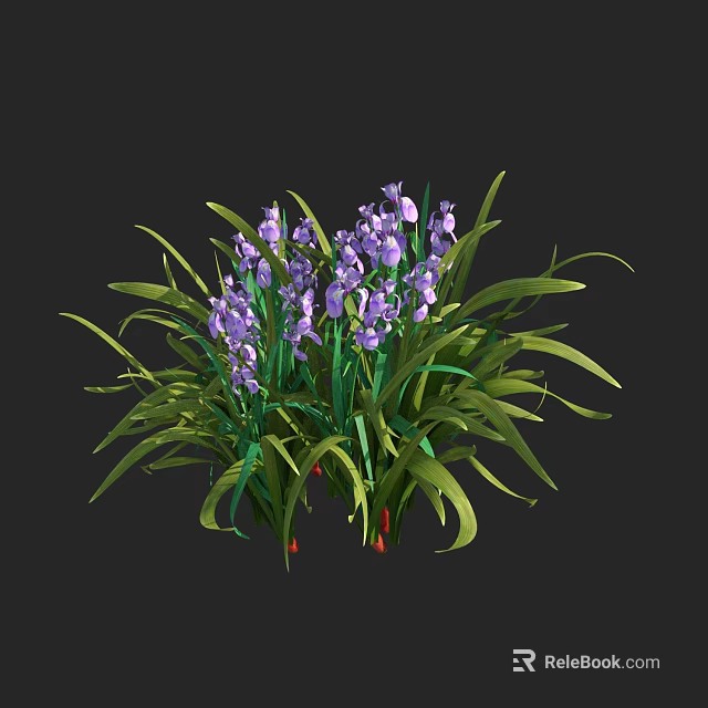 Blooming Purple Flowers With Long Green Leaves In Natural Plant Cluster 3d model 