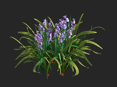 Blooming Purple Flowers With Long Green Leaves In Natural Plant Cluster 3d model
