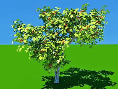 Lush Arbor With Green Leaves Red Fruits Against Blue Sky And Green Grass 3d model