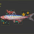 Colorful Spotted Fish With Red Coral Yellow Stars And Green Dots