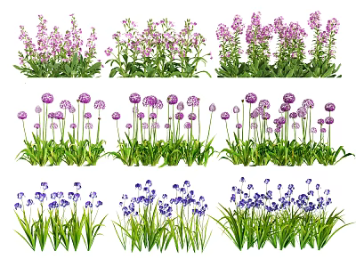 Different Types of Garden Flowers With Purple Blue Blooms And Green Leaves 3d model