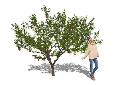 Lush Green Tree With Red Fruits And Smiling Woman Standing Nearby 3d model