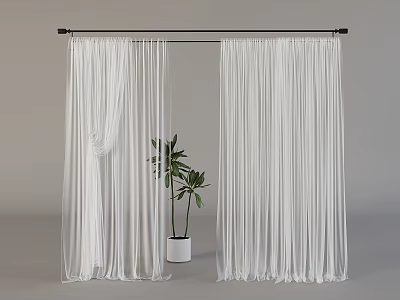 White Sheer Curtains with Black Curtain Rod and Green Potted Plant 3d model
