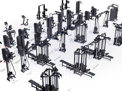 Complete Collection Of Fitness Equipment With Various Training Machines For Home And Gym 3d model