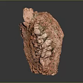 Red Wood Stone Model With Natural Rough Texture And Small Green Plants On Surface