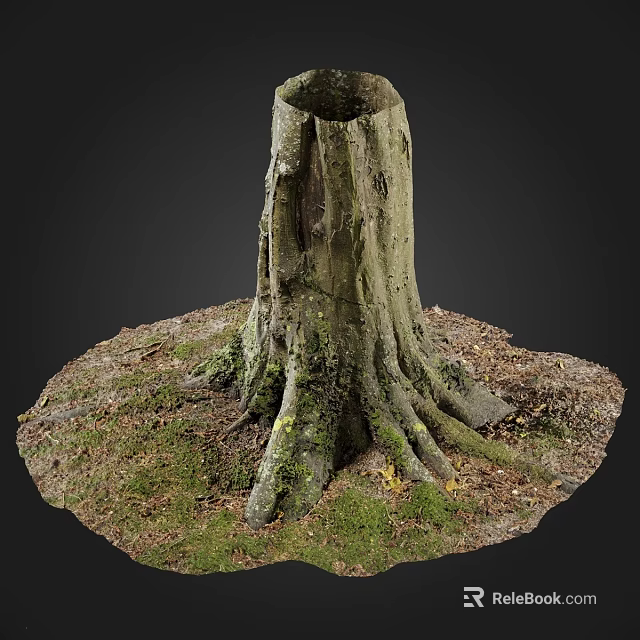 Natural Stone and Wood Tree Stump with Mossy Roots and Fallen Leaves 3d model 