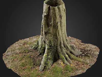 Natural Stone and Wood Tree Stump with Mossy Roots and Fallen Leaves 3d model