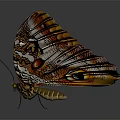 Flying Animal Butterfly With Orange Purple Iridescent Spread Wings On Grey Background