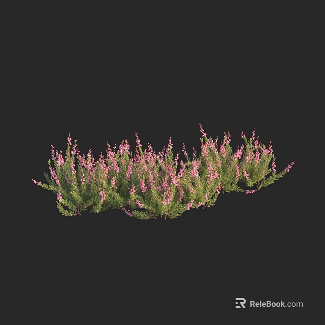 Tall Arbor With Pink Flowers And Green Foliage On Black Background 3d model 