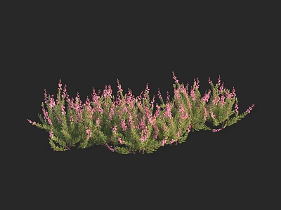 Tall Arbor With Pink Flowers And Green Foliage On Black Background 3d model
