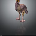 3D Vibrant Bird Character Model With Pink Yellow Plumage And Long Legs