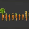 Fresh Carrots Whole and Sliced with Green Tops Arranged on Dark Background
