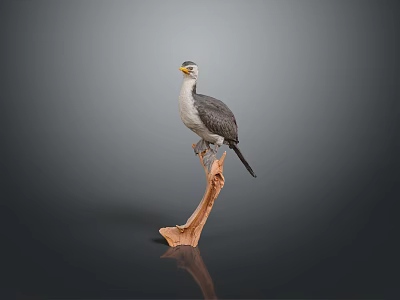 Lifelike Bird Model Perched on Wooden Branch Against Grey Background 3d model