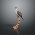Lifelike Bird Model Perched on Wooden Branch Against Grey Background
