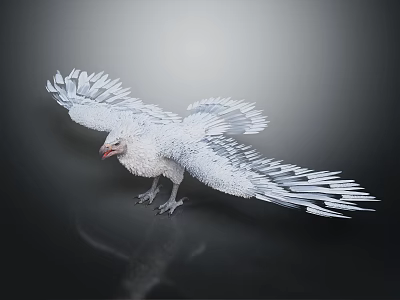 White Eagle Spreading Wings Standing On Black Surface With Detailed Feather Texture 3d model