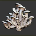 White Mushroom Cluster Sculpture With Multiple Caps And Stems Design 3d model