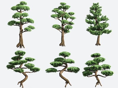 Different Shaped Pine Trees Showcasing Lush Foliage and Distinct Trunk Features 3d model