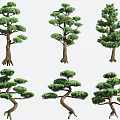 Different Shaped Pine Trees Showcasing Lush Foliage and Distinct Trunk Features 3d model