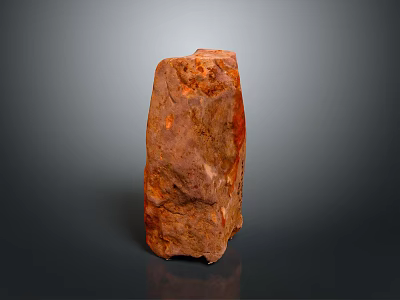 Green Moss Plant Growing On Brown Rock With Orange Red Textures 3d model